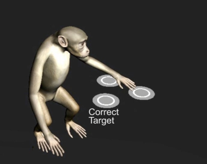 Monos, Controlan Máquinas Con La Mente