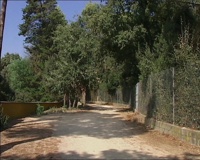 Un Mosso apuñala a un taxista en Sant Fost