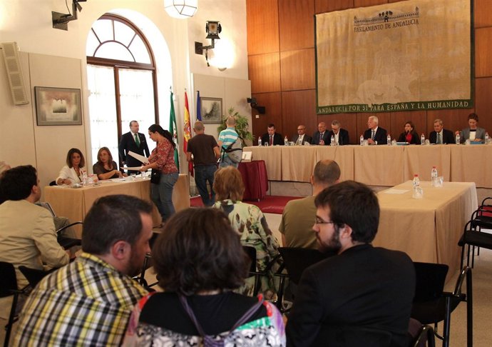 Miembros Del 15M Se Acreditan Como Fedatarios Ante La Junta Electoral