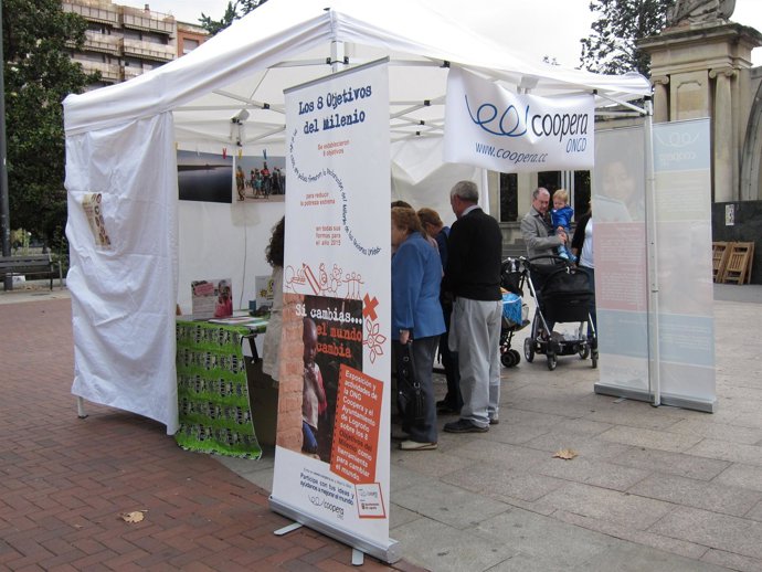 Fiesta De Los Objetivos Del Milenio