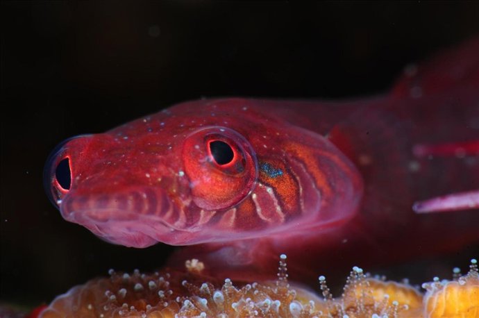 Fotografía Ganadora Del Certamen