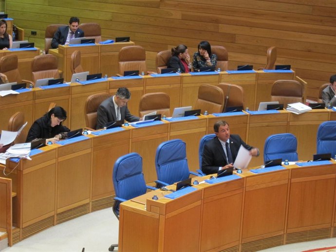 Foto Consenomía Plen