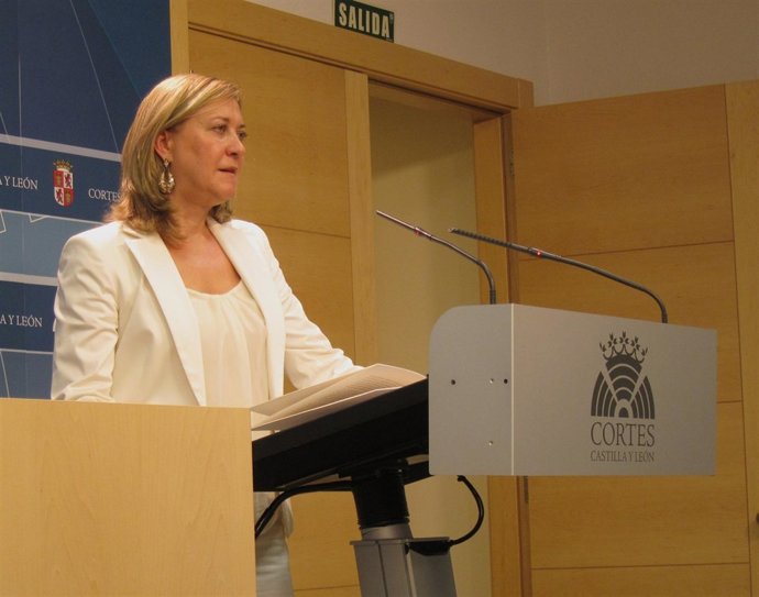 La Consejera De Hacienda, Pilar Del Olmo, En Rueda De Prensa En Las Cortes