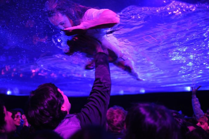 'Fuerzabruta'