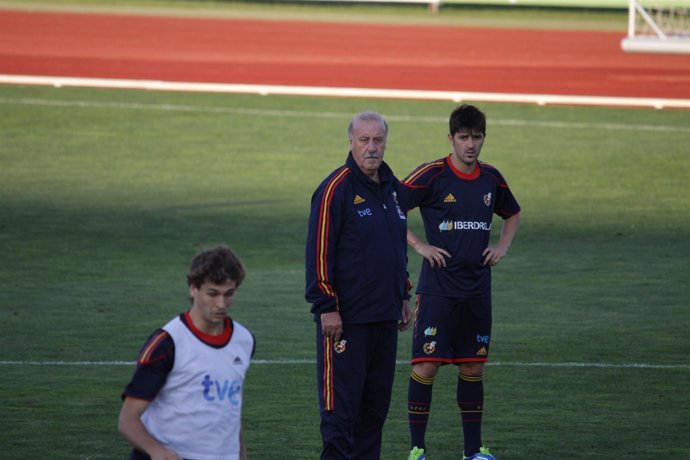 Vicente Del Bosque Y David Villa