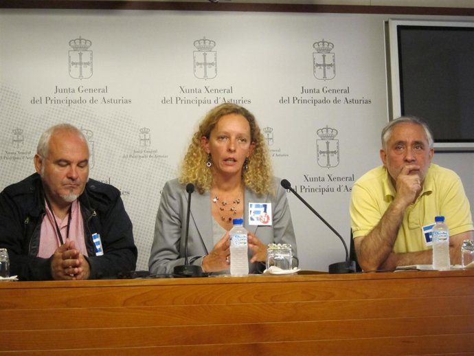 Noemí Martín, De IU