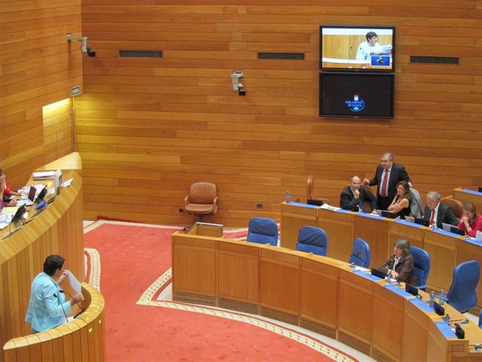 Soneira Plantea La Interpelación A La Conselleira Do Mar, Sentada