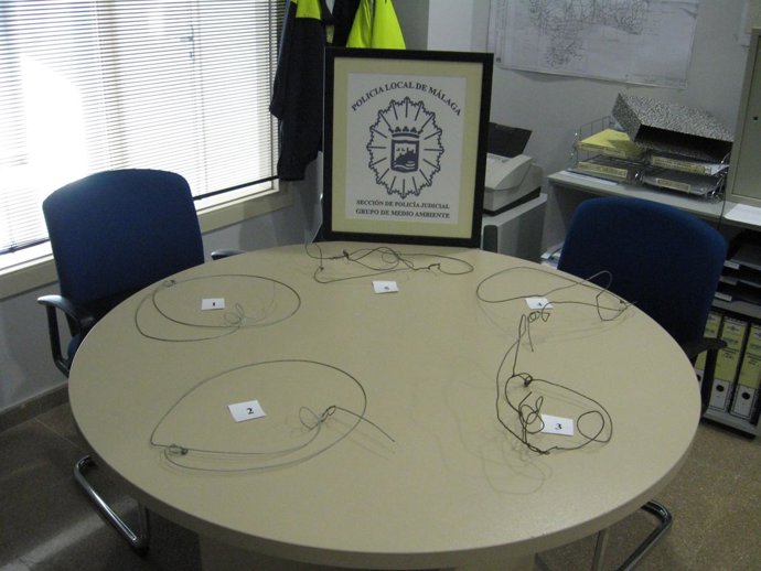 Lazos Intervenidos Por La Policía Local De Málaga