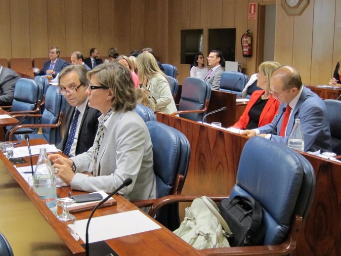 Comisión De Presupuestos Y Hacienda En La Asamblea De Madrid