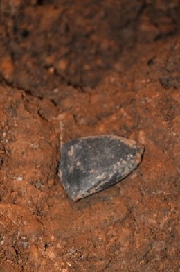 Hacha  Con Piedra Pulimentada