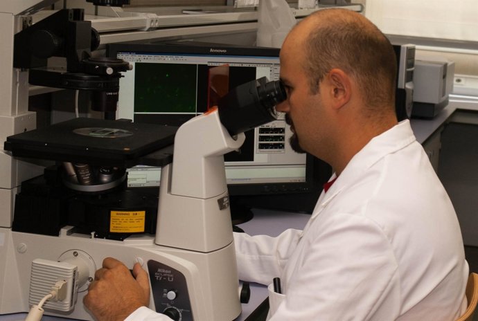 Profesor Del Área De Biología Celular 