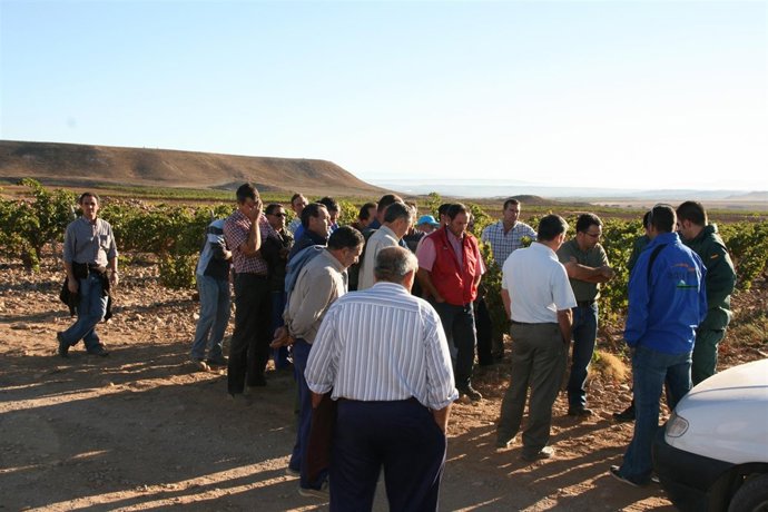 Movilización De Trabajadores