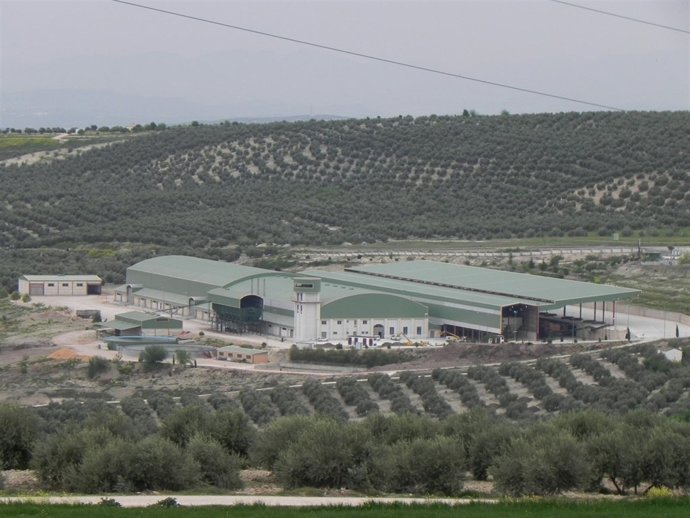 Cooperativa Nuestra Señora Del Pilar Del Pilar, En Villacarrillo (Jaén)