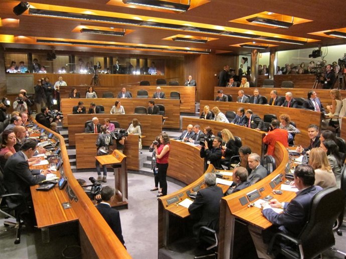 Pleno De La Junta General