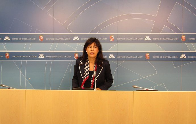 La Viceportavoz Del Grupo Parlamentario Socialista De Cyl, Ana Redondo