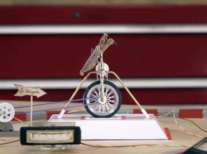 Mantis Religiosa En Monociclo Por Qualcomm 