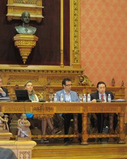 Pleno Del Consell De Mallorca