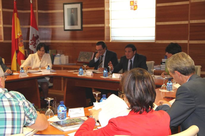 Consejo General De Salud De Castilla Y León