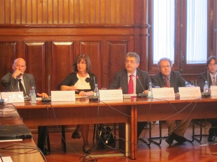 La Consellera Irene Rigau En Comisión Parlamentaria