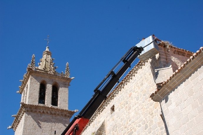 Retirada De Uno De Los Nidos De Cigüeñas