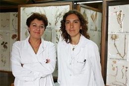 Investigadoras De La UN.