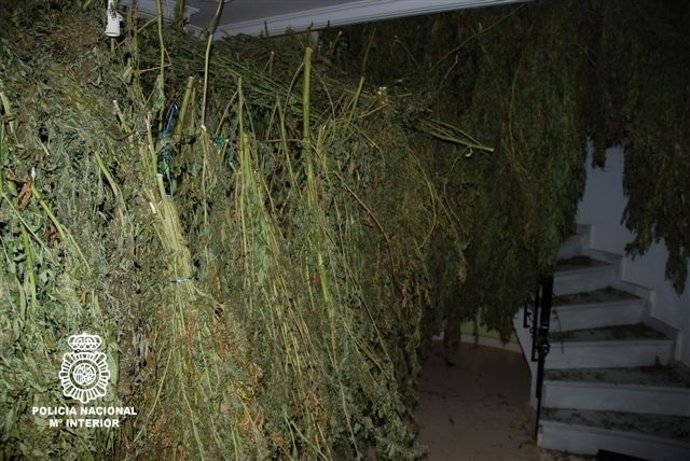 Efectos Intervenidos Por La Policía En Callosa Del Segura (Alicante).