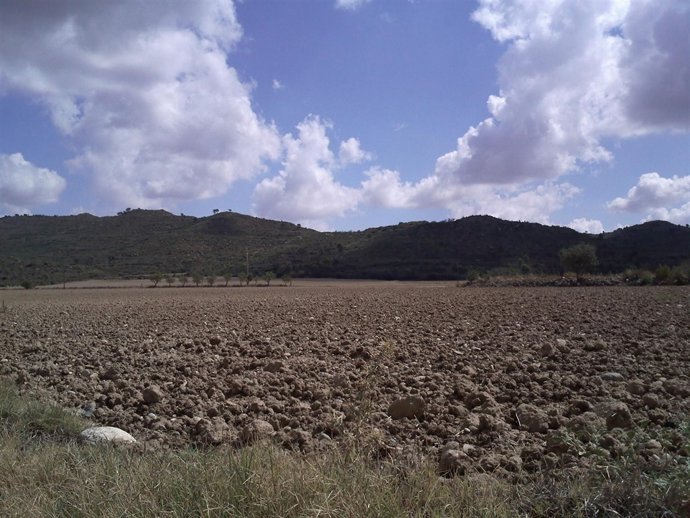 Campos Labrados En Eres (Huesca)