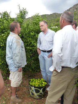 González Pons En Un Encuentro Con Agricultores En Oliva