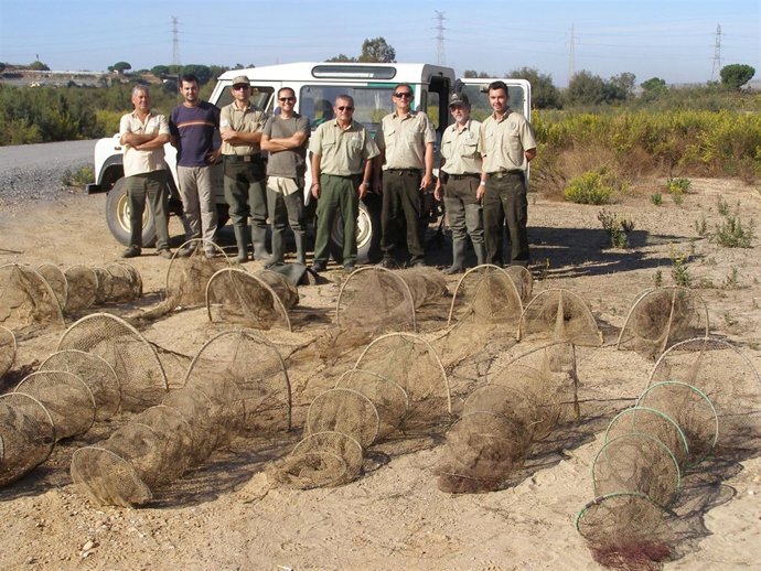 Agentes De Medio Ambiente De Huelva En El Estero Domingo Rubio    