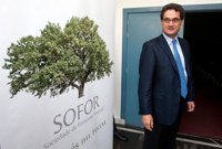 Incendios.- La Xunta de Galicia asegura que más del 90% de los últimos fuegos son provocados