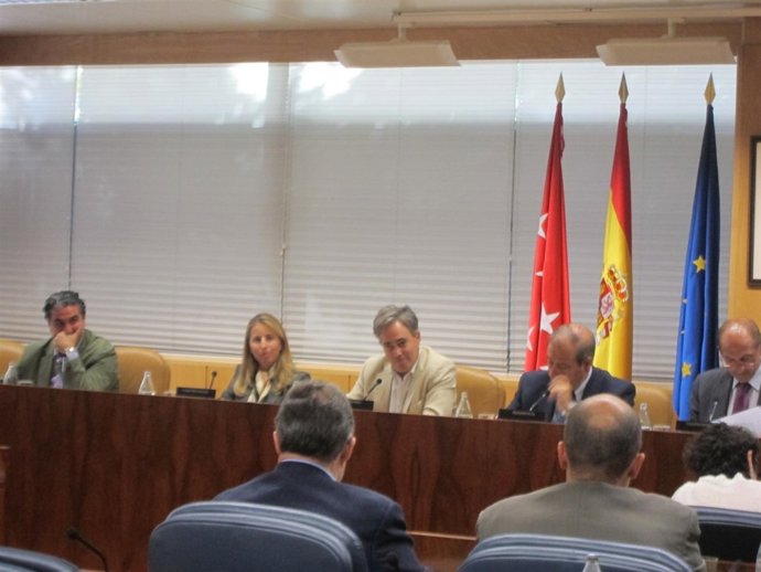 Comisión De Medio Ambiente En La Asamblea De Madrid