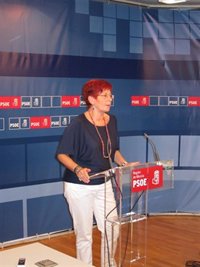 PSOE acusa a Ruiz de mentir cuando habla de unidad del PP en torno al Corredor Mediterráneo