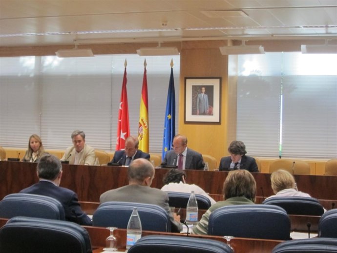 Comisión De Medio Ambiente En La Asamblea De Madrid