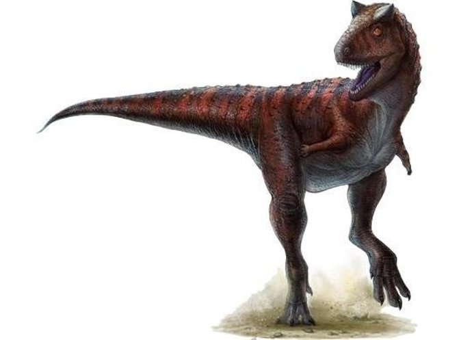 Carnotaurus