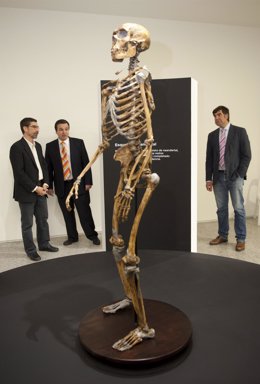 Esqueleto De Un Neandertal Que Forma Parte De La Exposición 