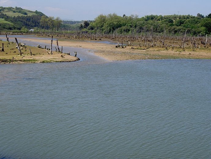 Parque Natural De Oyambre 
