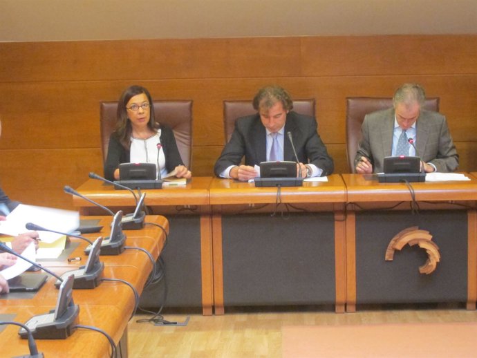 Comisión Obras Públicas Y Vivienda En El Parlamento De Cantabria 