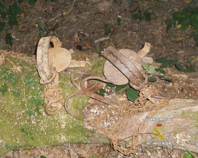 Cepos Incautados Durante Los Servicios Preventivos De La 'Berrea'