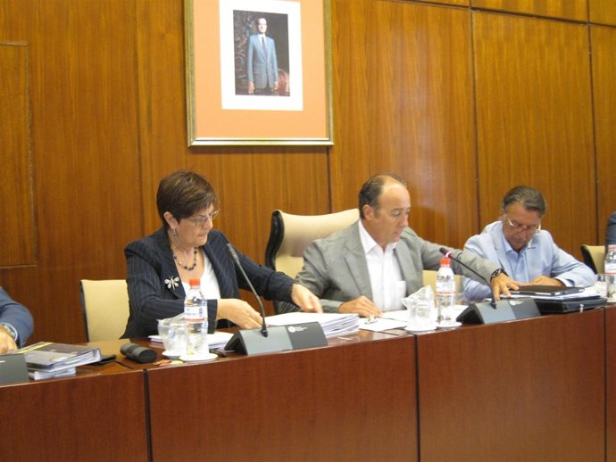 La Consejera De Obras Públicas Y Vivienda, Josefina Cruz