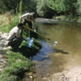 Forestales Recogen Muestras