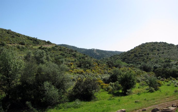 Parque Natural De Sierra Norte