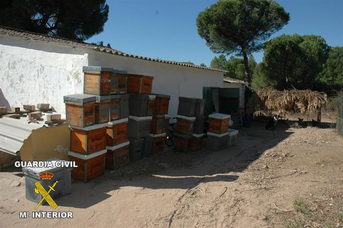 Robo Colmenas En Huelva