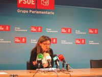 El PSdeG ve "desolador" el panorama de Galicia, ya que los presupuestos certifican una deuda de 8.000 millones de euros