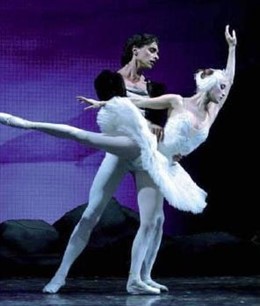 Un Momento De'el  Lago De Los Cisnes'