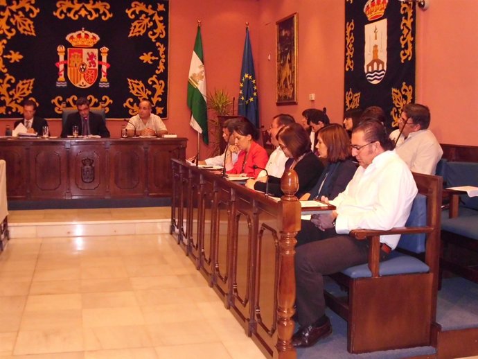 Pleno Del Ayuntamiento De Alcalá.