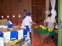 Voluntarios Del Banco De Alimentos Recogen Fruta 