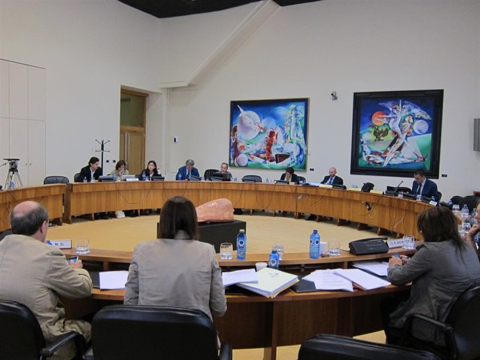 comisión parlamentaria