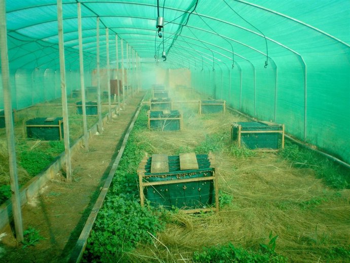 Invernaderos De Caracoles De Helix Villaespasa