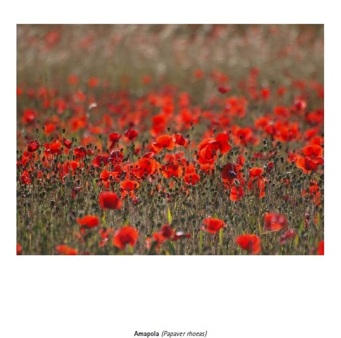 Una De Las Imágenes De La Exposicion