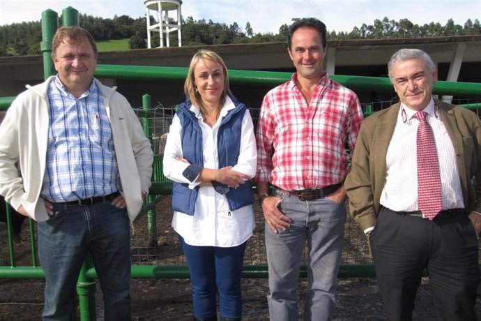 Ganadería Adquiere Los Mejores Ejemplares De Tudanca Y Monchina 